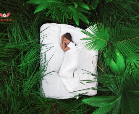  Past life regression therapy